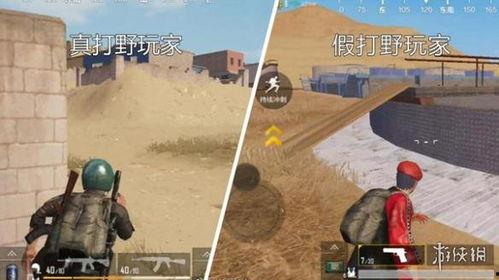 吃鸡沙漠爆料视频大全集,吃鸡爆料视频大全集深度解析 第1张 吃鸡沙漠爆料视频大全集,吃鸡爆料视频大全集深度解析 第1张